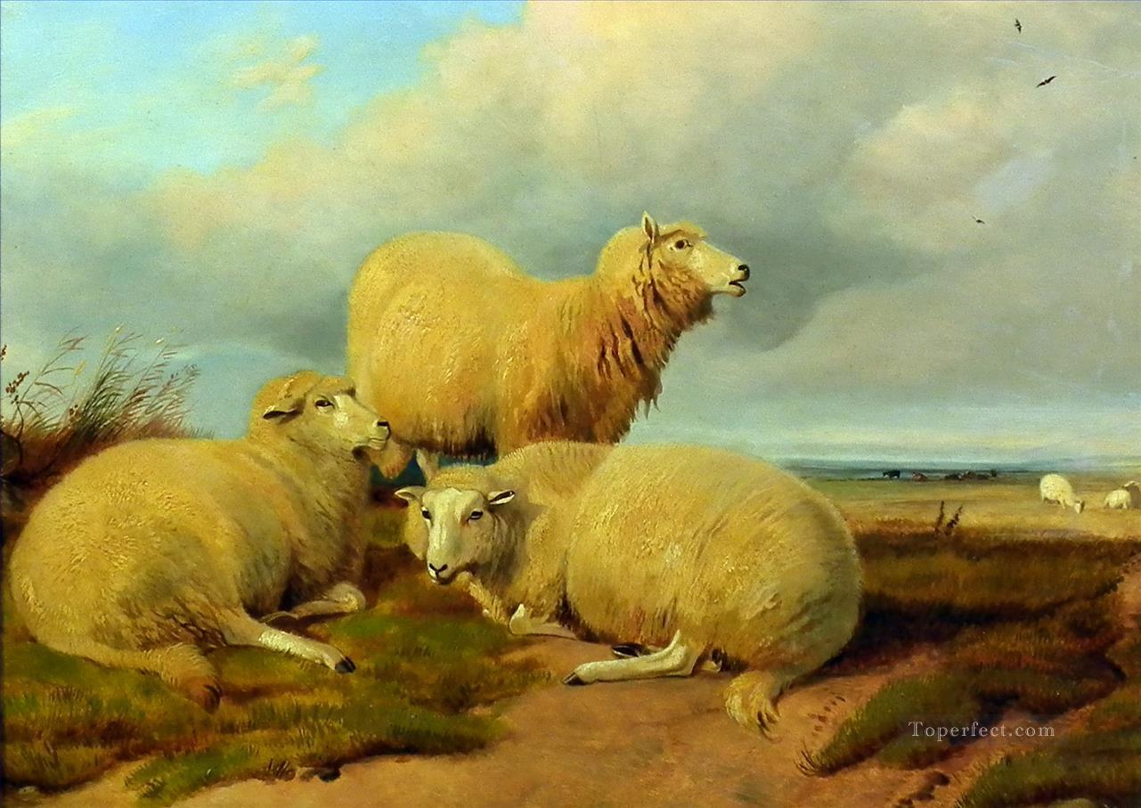 sheep on meadow Oil Paintings